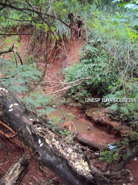 21_marco_2011 (7).JPG